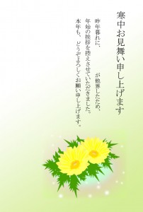 寒中見舞いー福寿草1