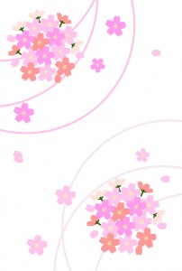桜のカード（白背景）